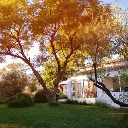 Finca Palmers Dos ミハス エクステリア 写真