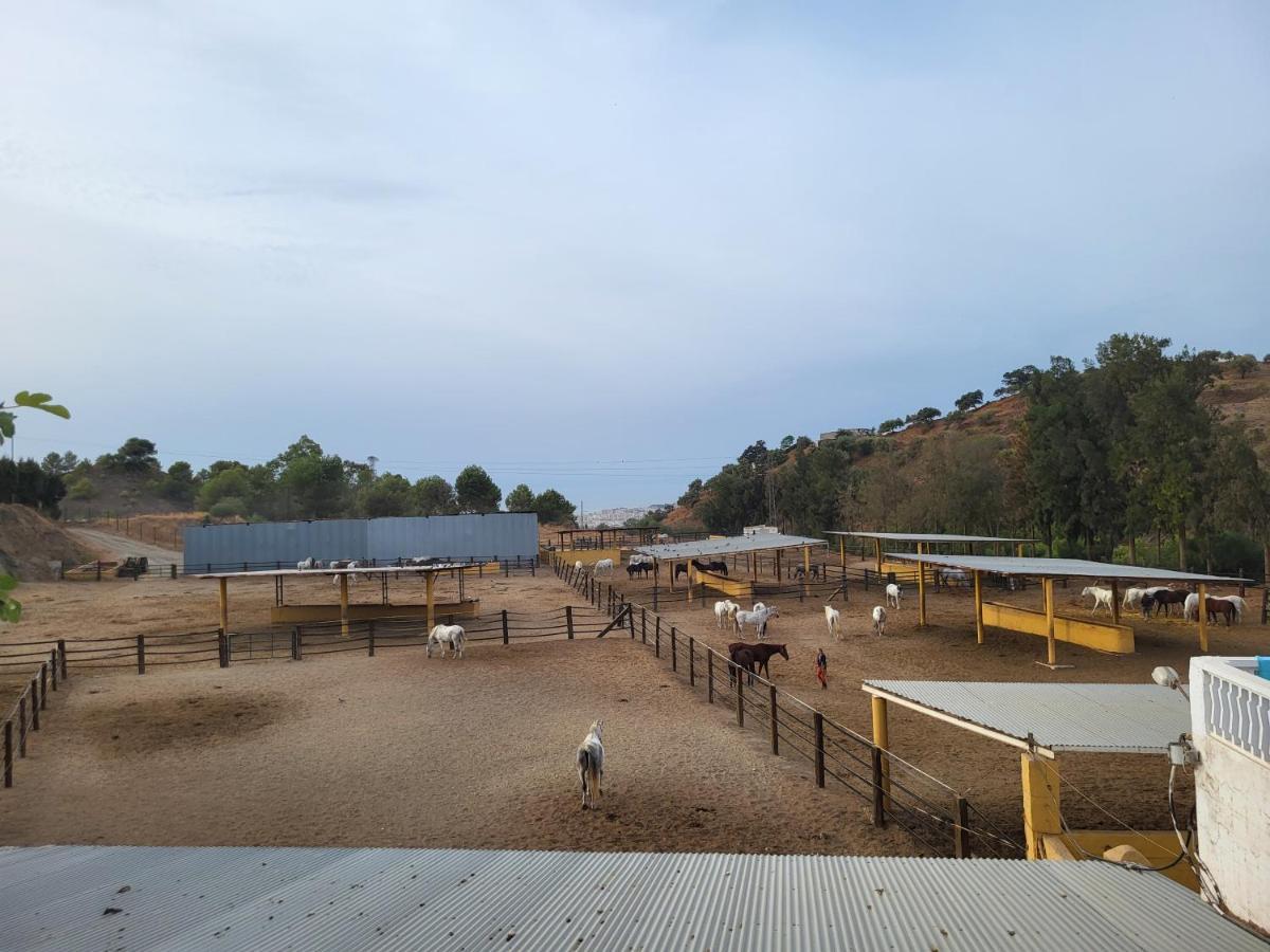 Finca Palmers Dos ミハス エクステリア 写真