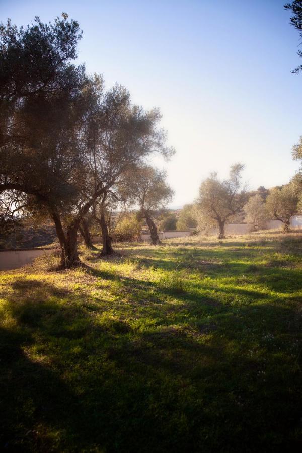 Finca Palmers Dos ミハス エクステリア 写真